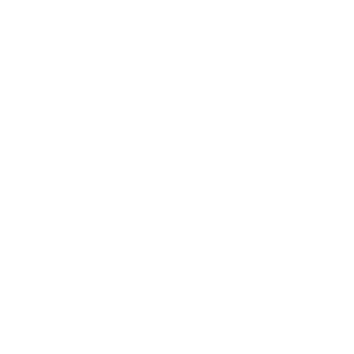 x-icon